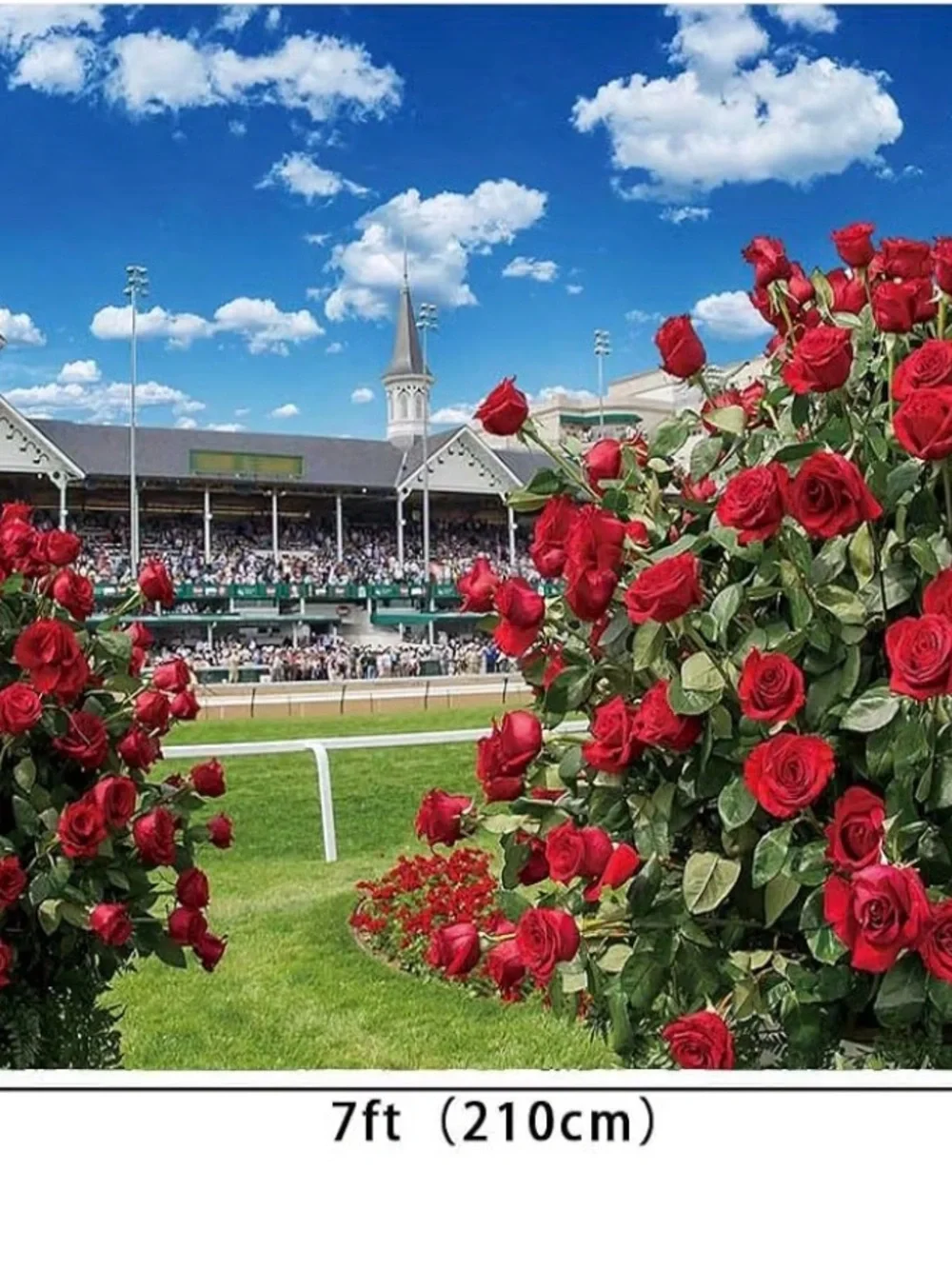**Like New** Running for the Roses decorations. Used one time